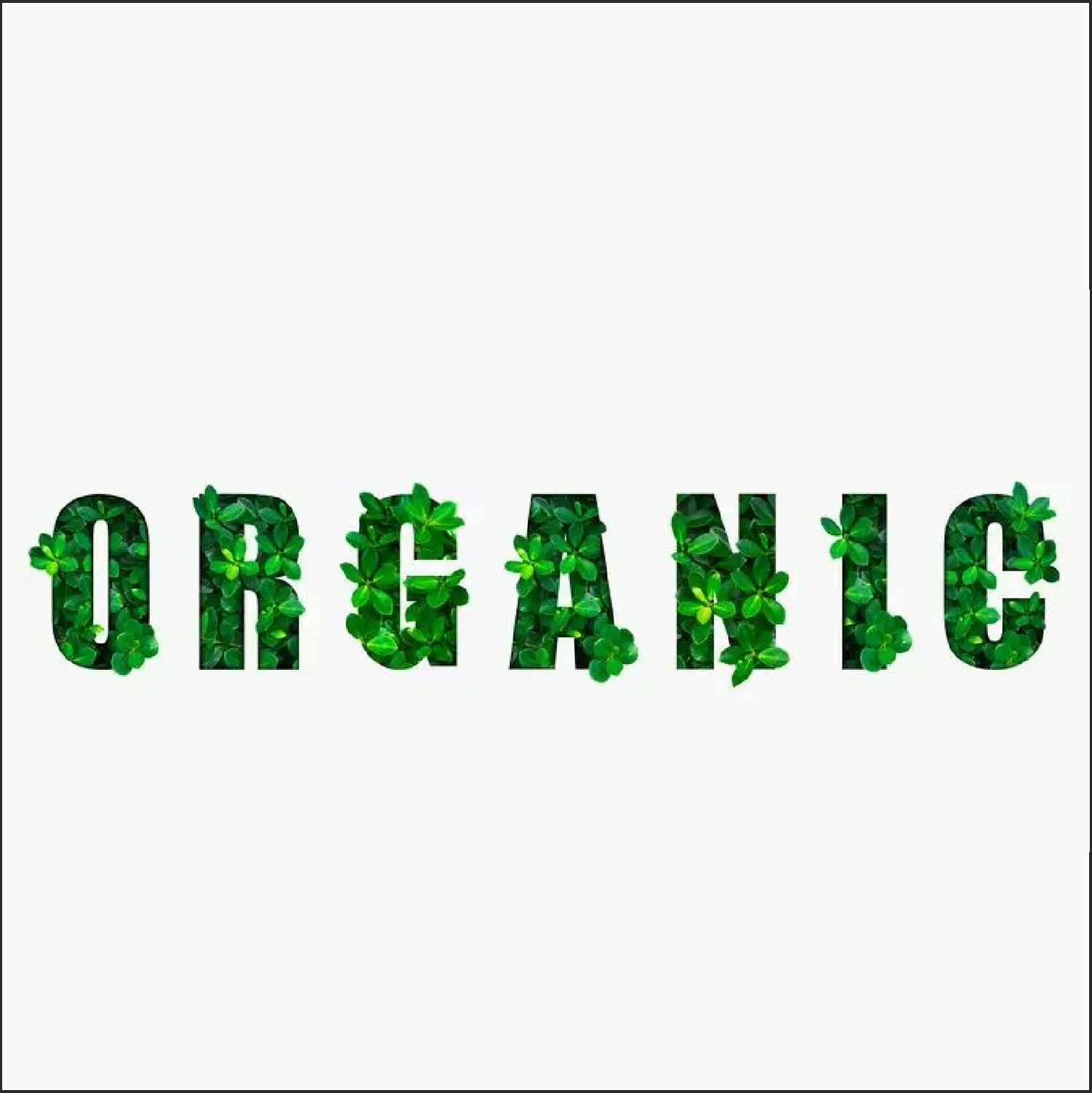 Tida Organics